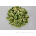 New style Cheapest freeze dried food green broccoli